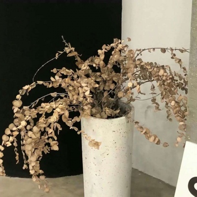 汉滨FurryQQ群介绍